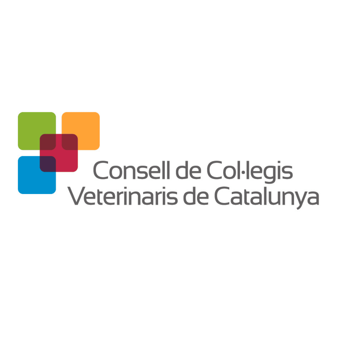 CCVC-logo.png