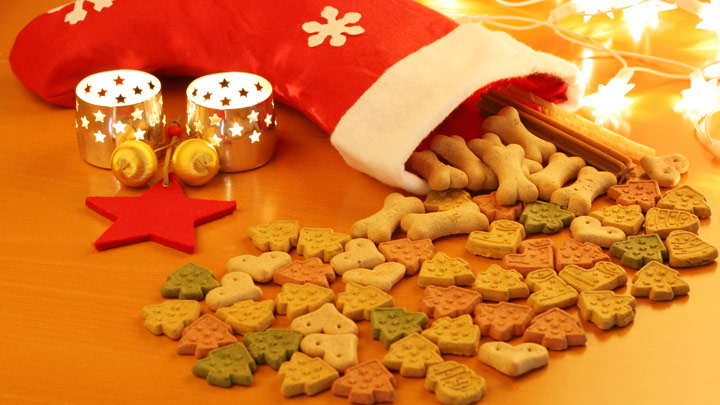 Christmas Foods Dogs Can and Can't Eat