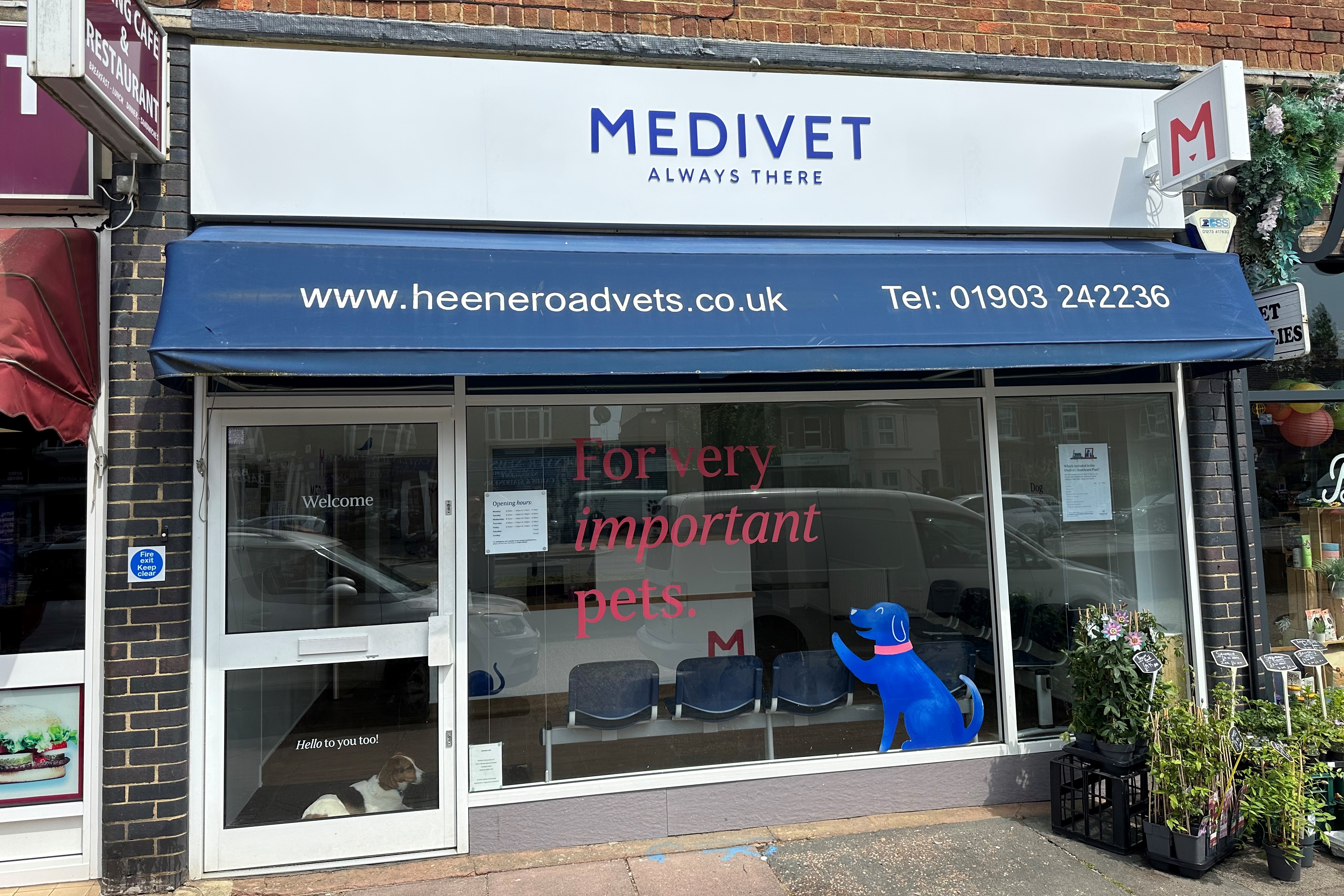 Medivet Goring by Sea Goring By Sea Vets Medivet Vet UK