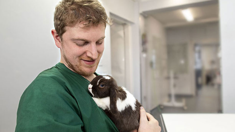 Bunny vet near deals me